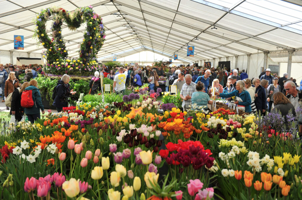 RHS Spring Festival in Worcestershire